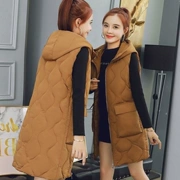 Áo khoác nữ mùa thu và mùa đông mới, áo khoác nữ trong phần dài của phiên bản Hàn Quốc của phụ nữ vest nữ cỡ lớn hoang dã - Áo thể thao