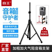 Soundking sound king S11 kim loại dày chuyên nghiệp không khí loa âm thanh đứng chân - Loa loa