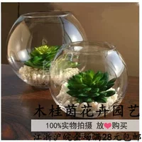 Bình thủy tinh siêu mỏng phần [bóng nhỏ] chai cho cây thủy canh - Vase / Bồn hoa & Kệ chậu nhựa treo