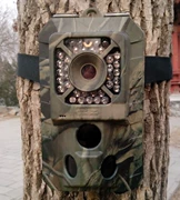 Camera giám sát nhà vườn giám sát và bảo vệ khu vực điều tra động vật - Máy ảnh kĩ thuật số