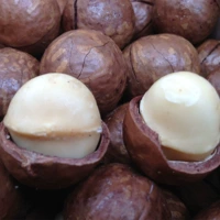 Первая партия новых товаров крупные семена австралийский кремовый вкус Открытие гавайских ореховых закусок 250 г.