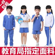 Quảng châu Phiên Ngung District trường tiểu học nam giới và phụ nữ đồng phục học sinh quần mùa hè ngắn tay dài tay T-Shirt polo phù hợp với bông có thể được tùy chỉnh