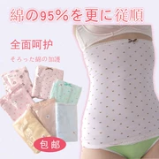 Bụng cuộn ladies tạp dề Nhật Bản chăm sóc navel thắt lưng để giữ ấm bông đôi dày bụng khối lượng dành cho người lớn