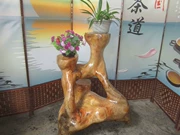 Rễ khắc khung cây gốc lá long não tự nhiên gỗ phòng khách Trung Quốc phong cách nghệ thuật đôi bonsai khung trang trí C786 - Các món ăn khao khát gốc