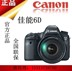 Canon Canon 6D kit bảy full frame kỹ thuật số chuyên nghiệp máy ảnh SLR 1DX21DX5D45D35DSR5DS SLR kỹ thuật số chuyên nghiệp