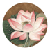 Su thêu thêu diy người mới bắt đầu kit lotus quà tặng thêu stitch hướng dẫn Bộ dụng cụ thêu