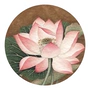 Su thêu thêu diy người mới bắt đầu kit lotus quà tặng thêu stitch hướng dẫn tranh thêu cá chép hoa sen