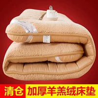 Dày cộng với nhung cừu nhung mat ấm áp mùa đông nệm nệm cashmere đôi sinh viên độc thân bọ cạp giá nệm kim cương