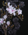 Nổi tiếng cổ thêu nghệ thuật thêu thêu diy kit người mới bắt đầu handmade sơn trang trí với mũi khâu magnolia 40 * 50 CM Bộ dụng cụ thêu