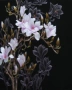 Nổi tiếng cổ thêu nghệ thuật thêu thêu diy kit người mới bắt đầu handmade sơn trang trí với mũi khâu magnolia 40 * 50 CM tranh thêu tay phong cảnh