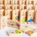 100 đôi hai mặt trái cây tròn ký tự Trung Quốc kỹ thuật số nhận thức domino giáo dục mầm non câu đố khối xây dựng đồ chơi Khối xây dựng