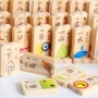 100 đôi hai mặt trái cây tròn ký tự Trung Quốc kỹ thuật số nhận thức domino giáo dục mầm non câu đố khối xây dựng đồ chơi đồ chơi bé gái