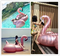 Bên bờ biển bơm hơi nổi vàng hồng flamingo bơi vòng bể bơi người lớn nổi nước gắn kết ngọn lửa chim nổi hàng phao tập bơi