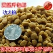 Thức ăn cho chó số lượng lớn Odin Nhà hàng phương Tây con chó thực phẩm tự nhiên Jin Mao Hu Shiqi Teddy VIP năm pounds