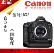 Canon Canon EOS-1DX MarkII kit ống kính kép quốc gia mới Canon 5D4 1dx2 SLR - SLR kỹ thuật số chuyên nghiệp