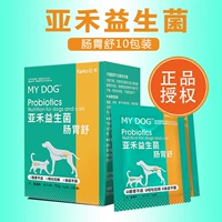 Yahe dạ dày vật nuôi men vi sinh Jinmao Teddy chó mèo tiêu chảy điều hòa dạ dày chó và mèo chăm sóc sức khỏe - Cat / Dog Medical Supplies kim tiêm cho chó
