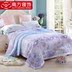 Southern bedclothes sơn màu váy Tiansi Ma Xia là cao cấp điều hòa không khí lõi-phù hợp thở mùa hè mát mẻ quilt Quilts