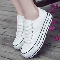 Mùa xuân và mùa hè trắng sneakers ladies Hàn Quốc phiên bản của nền tảng giày vải thấp để giúp thể thao và giải trí thắt lưng tăng giày đơn triều giầy thể thao nữ đế cao