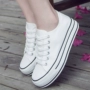 Mùa xuân và mùa hè trắng sneakers ladies Hàn Quốc phiên bản của nền tảng giày vải thấp để giúp thể thao và giải trí thắt lưng tăng giày đơn triều giầy thể thao nữ đế cao