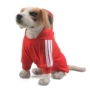 Quần áo cho chó Teddy quần áo mùa thu và mùa đông hơn chó Xiong Bomei chó nhỏ và chó con quần áo thú cưng quần áo mùa thu - Quần áo & phụ kiện thú cưng quần áo cho mèo