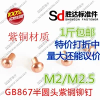 M2/2,5 Series GB867 Полу -циркулярная головка бронза заклепки/сплошная заклепка/1 кора