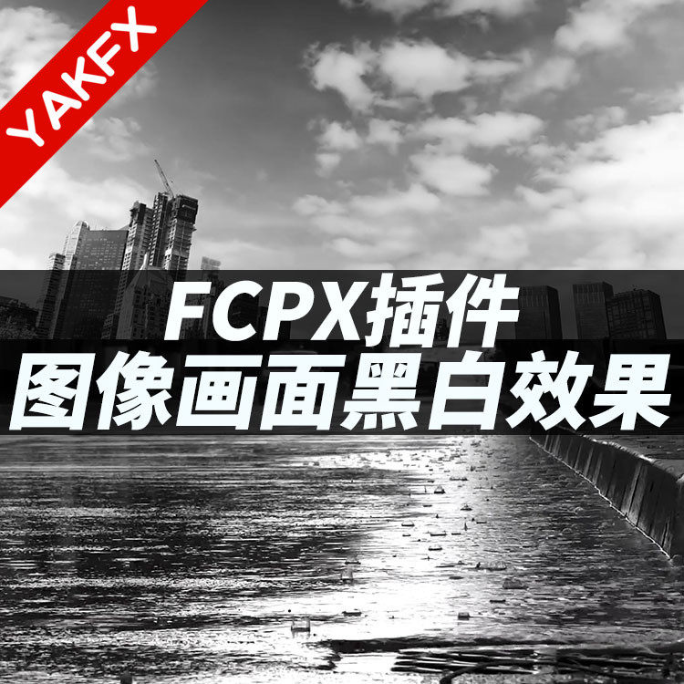 FCPX插件：图像黑白效果 + 画面柔和/暗角效果black white-天天素材网