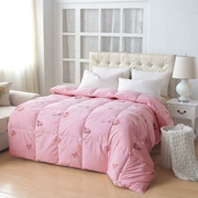 Mùa đông là mùa xuân và mùa thu bởi duvet trắng vịt xuống khách sạn mùa đông bông dày ấm quilt bởi lõi đơn đôi quilt