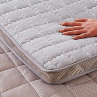 Giường nệm tùy chỉnh 褥 1,8 2,0 m 炕 chăn bông pad 2 m 2,3 2,4 m nệm 2,5 nệm điều hòa không khí nệm kim cương