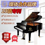 Thương hiệu Pháp Camille grand piano PM-160 dành cho người lớn mới bắt đầu chuyên nghiệp chơi đàn piano mới