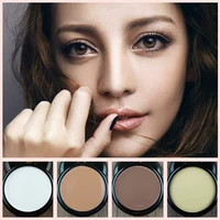 Impeccable Concealer Makeup Artist Dán Shadow Sửa chữa Hairline Foundation Shadow Bóng tối Silhouette Shadow bảng che khuyết điểm