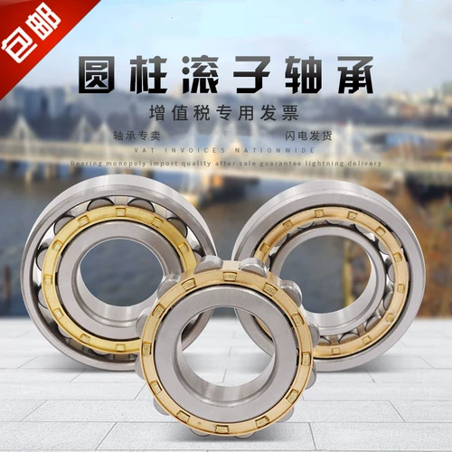 Цилиндрический ролик TMB Эксцентричный подшипник RN305 306 307 308 309 310 312 328M