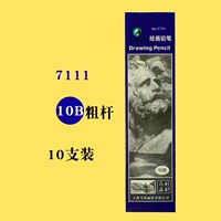 10b 【Интегрированные 10 ветвей】