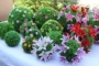 Mô phỏng cây nhựa đậu phộng bóng phòng khách hoa giả trong nhà cỏ bóng trần trung tâm mua sắm trang trí đám cưới - Hoa nhân tạo / Cây / Trái cây bình hoa lựu giả