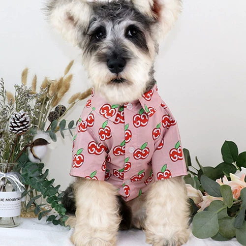 Apple, милая тонкая рубашка, дышащая модная летняя одежда