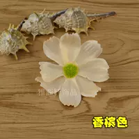 Цвета шампанского