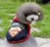 Batman hai chân áo len mùa thu và mùa đông Teddy Bear Xiulan Nai Superman hai chân Quần áo chó Pug trang phục mèo mùa thu - Quần áo & phụ kiện thú cưng áo cho mèo chó Quần áo & phụ kiện thú cưng