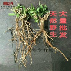Ароматическое саше 野生新鲜枸杞叶苗干枸杞头枸杞苗食用枸杞菜叶苗枸杞盆栽盆景现挖