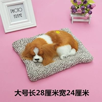 Барвет с большим спящим собакой длинные волосы уха