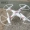 Drone trường tiểu học điều khiển từ xa máy bay trẻ em đồ chơi người lớn máy bay bốn trục chống va chạm