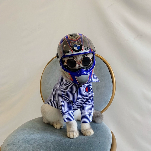 Маленький шлем, шапка, домашний питомец, кот