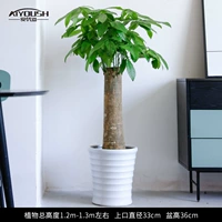 1,2 метра одиночного дерева удачи [в белой нити]