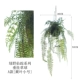 Зеленый дикий сказочный шар модель [Fern Leaf Trumpet]