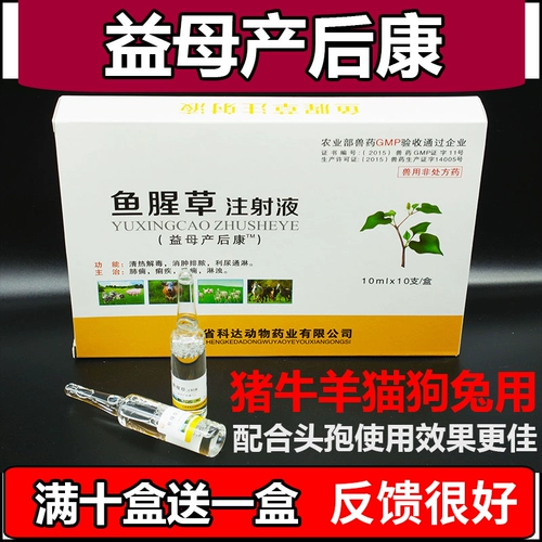После доставки, быки свиней Kang Beast, послеродовая тепло, корова, овчарная, анти -инфляционная тепло, детоксикация игла Houttuynia cordata инъекция Cordata