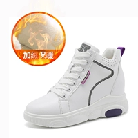 7009 Purple Plus Velvet High Gang