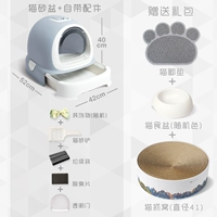 Азиатский серебряный серый+коллекция плюс покупка (подарочный пакет захвата кошки)