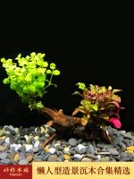 Зеленые деньги+красная волна (Shenmu 10 ~ 15 см)