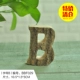 Буква B