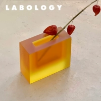 Labology Новый продукт ｜ Placeinplace Block Vase Color милый декоративный цветочный расположение ниша подарок