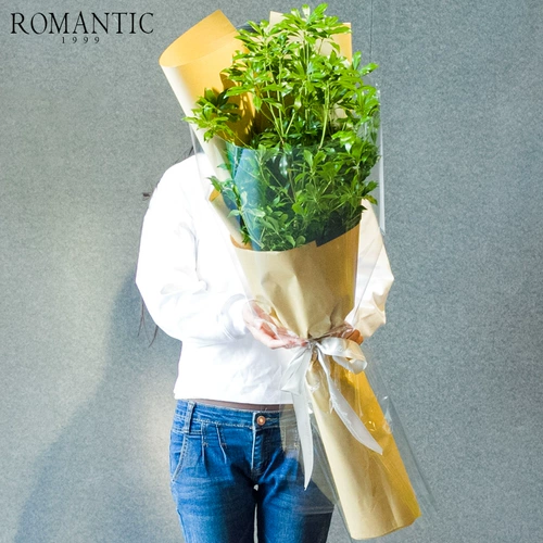 Отправить вам зеленые деревья Японская лошадь пьяные деревянные ветви Букет 1 млн густые листья вставленные вода, живые деревья люди Пекин Цветочный подарок