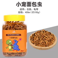 Ленточный червь